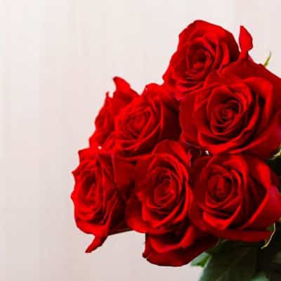 Rosas